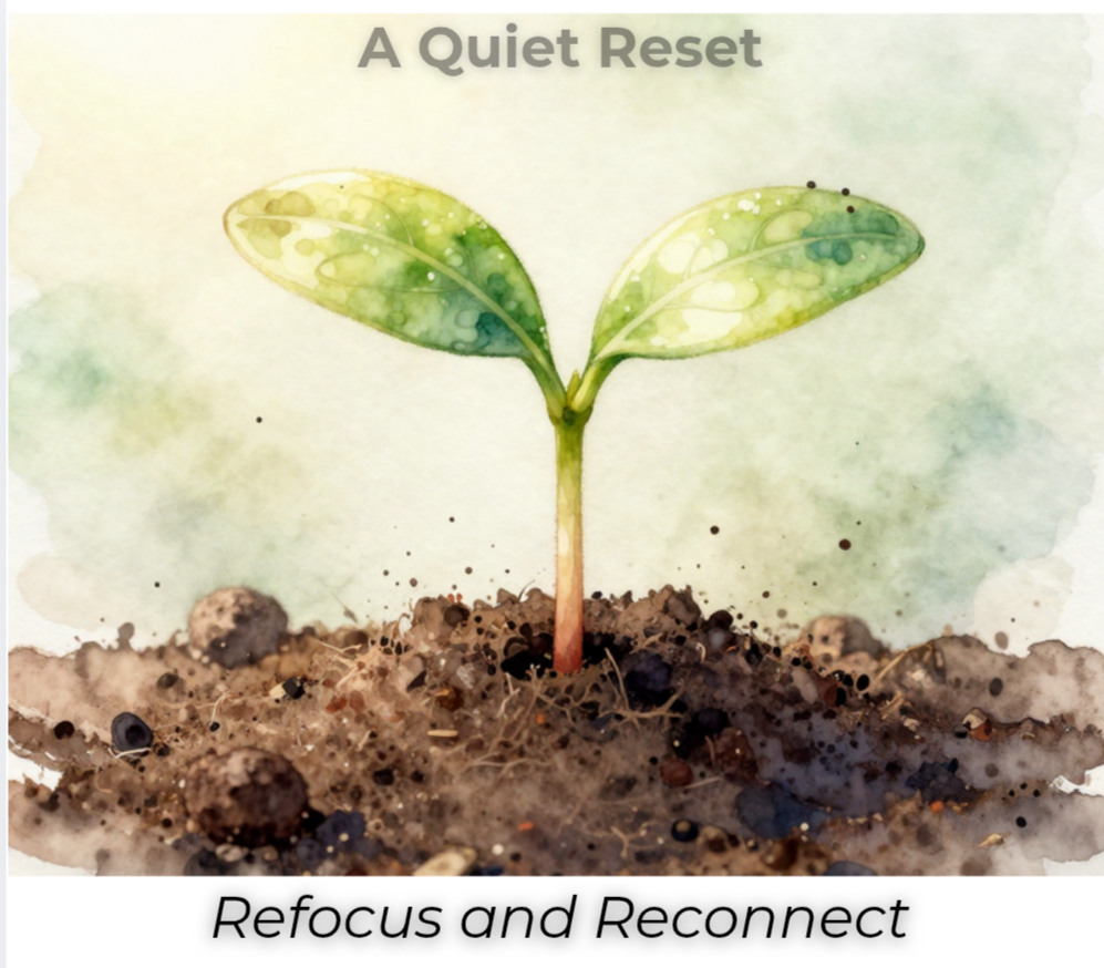 🌱  Internal Permission: A Reflective Word Search